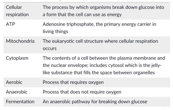 Products of cellular respiration