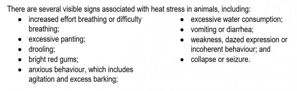 Heat stress in animals