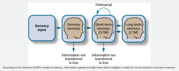 Sensory_memory